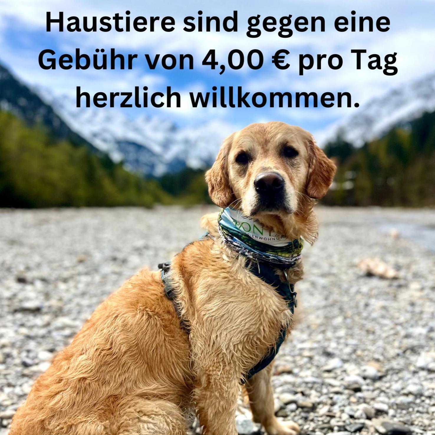 Montana Haus, Fewo A14, A17, B4 Oder C8 Oberstdorf Esterno foto